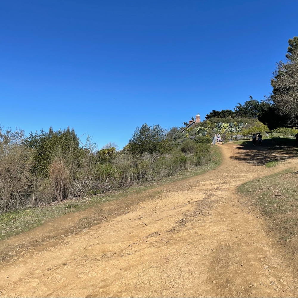 Meet your Posher, Cameron